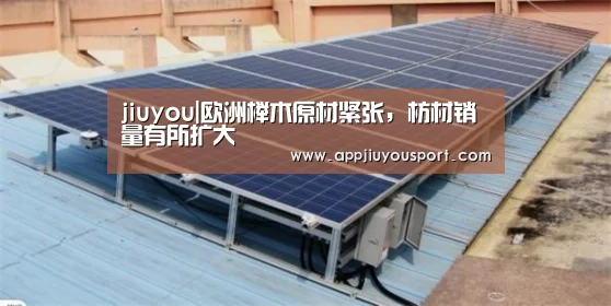 jiuyou|欧洲榉木原材紧张,枋材销量有所扩大(图1) 九游官网下载