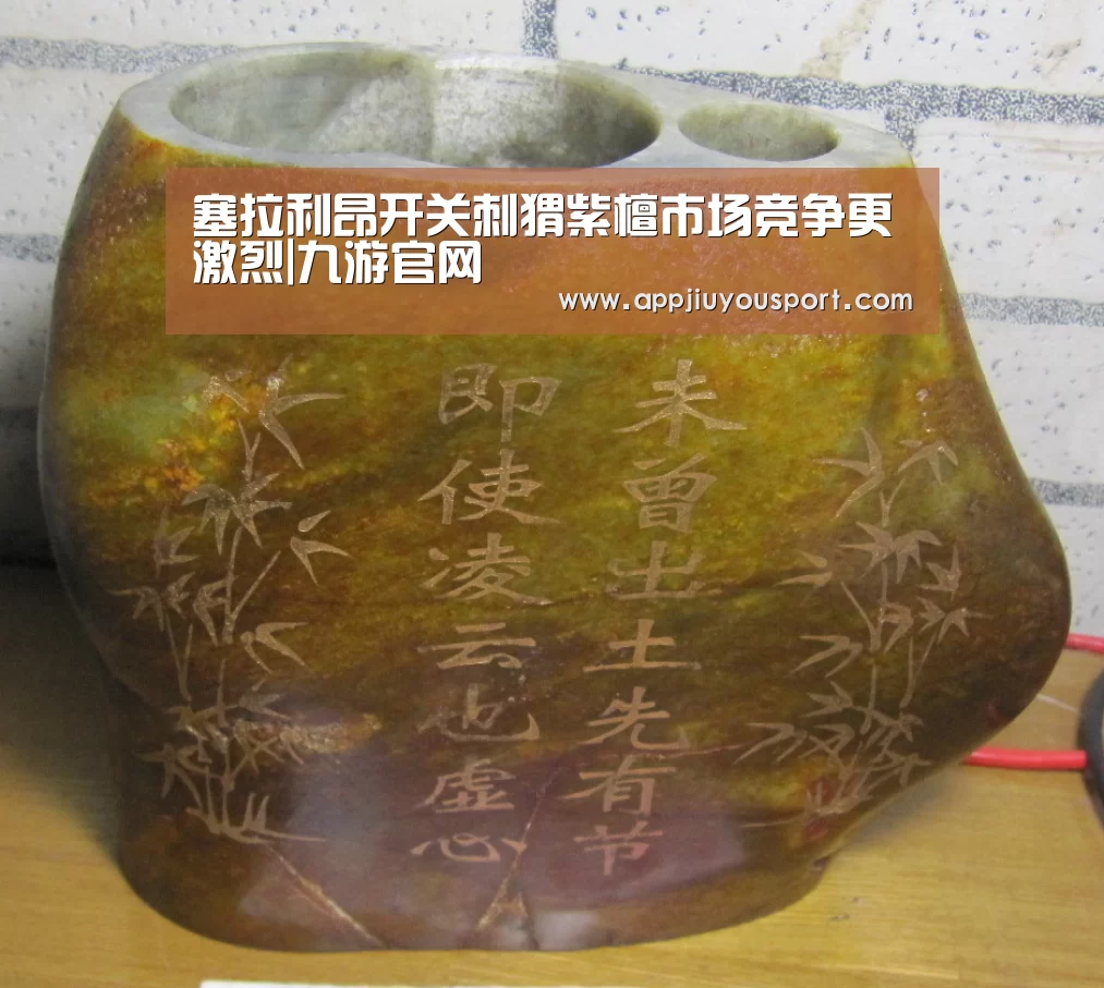 塞拉利昂开关刺猬紫檀市场竞争更激烈|九游官网(图2) 塞拉利昂开关刺猬紫檀市场竞争更激烈|九游官网(图2)