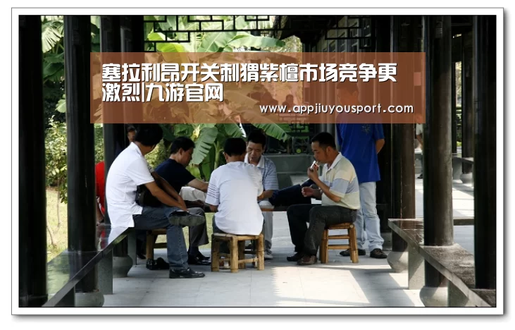 塞拉利昂开关刺猬紫檀市场竞争更激烈|九游官网(图3) 九游官网下载