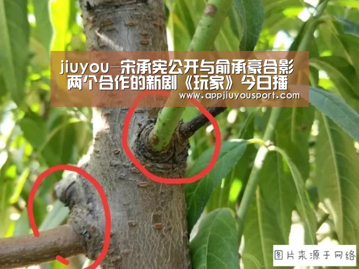 jiuyou-宋承宪公开与俞承豪合影 两个合作的新剧《玩家》今日播出(图3) 九游官网下载