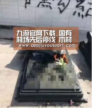 九游官网下载_国有林场先后停伐 木材供应更加依赖进口(图1) 九游官网