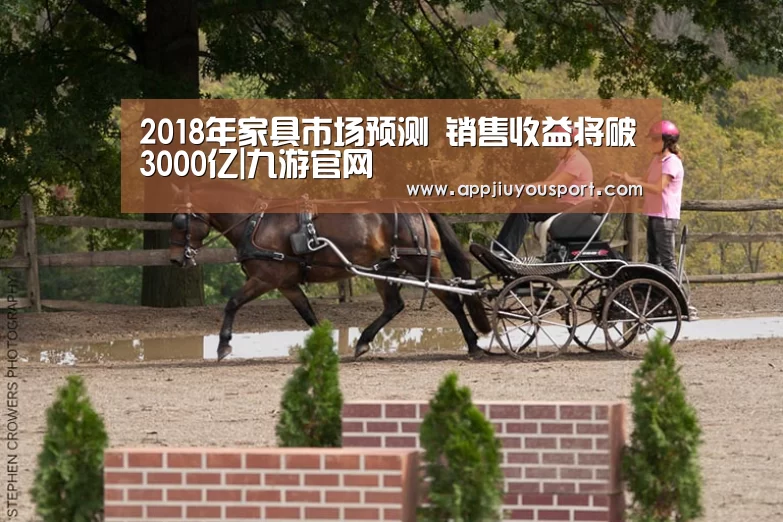 2018年家具市场预测 销售收益将破3000亿|九游官网(图1)